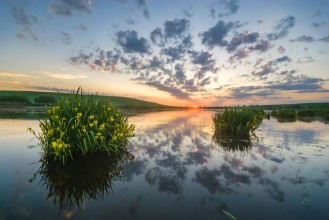 Image de Beautiful sunny colorful and foggy sunrise over the lake on which the irises bloom