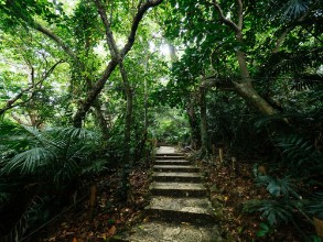 Afbeeldingen van 157590513