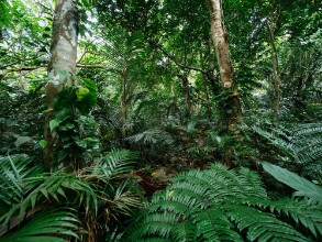 Снимка на 158797847