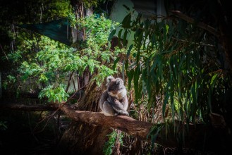 Bild på Nature reserve