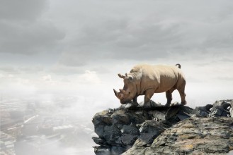 Picture of Herculean Rhinoceros