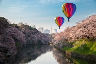 Bild på View of massive cherry blossoming in Tokyo Japan as background Photoed at Chidorigafuchi Tokyo Japan