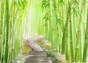 Bild på Single path alley through green bamboo forest