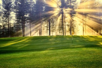 Obrázek Morning Sunshine