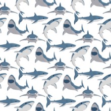 Picture of Shark illustration