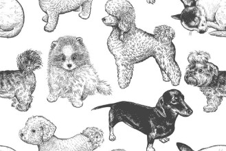 Imagem de Hand-made dog pattern