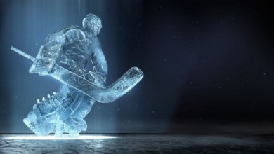 Bild på Ice goalie