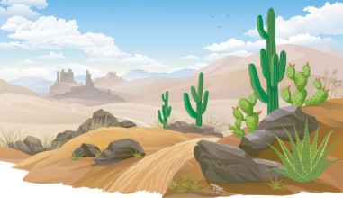 Imagem de Sandy desert