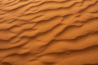 Image de Belles dunes de sable