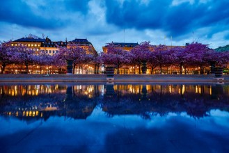 Picture of Kungsträdgården Stockholm