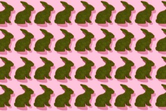 Attēls Grass easter rabbits