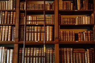 Bild på Grand Chateau Bibliothèque