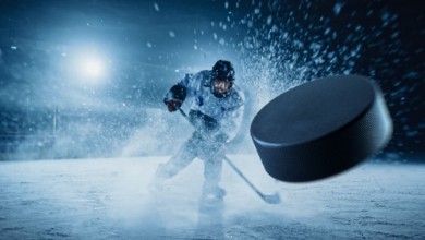 Image de Flying Puck