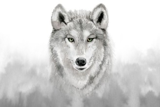 Kép Watercolor grey wolf