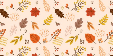 Picture of Diffrent leafs