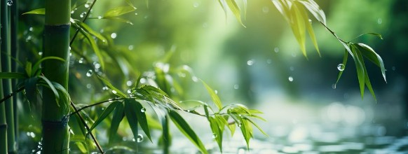 Bild på Leaves over water