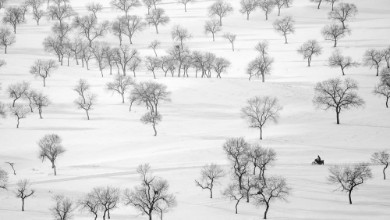 Picture of On the way