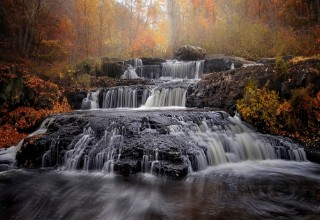 Image de Fall of Fall