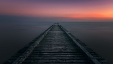 Picture of Falling into Infinity