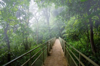 Bild på Skywalk cloudforest Costa Rica