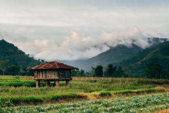 Picture of Timber house covered by rusty roof in the local farm