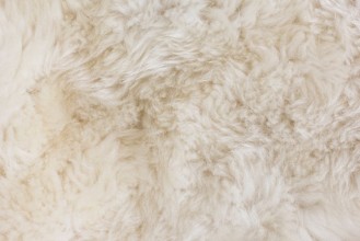 Obrazek Fur Texture