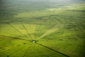 Afbeeldingen van Spider web rice field in Ruteng