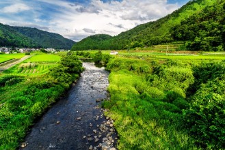 Afbeeldingen van Calm Countryside