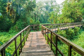 Afbeeldingen van Boardwalk in eco-archaeological park Los Naranjos Honduras