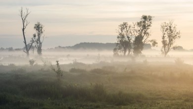Picture of Bourgoyen-Ossenmeersen Ghent Belgium