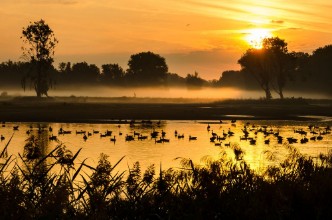 Picture of Bourgoyen-Ossenmeersen Ghent Belgium