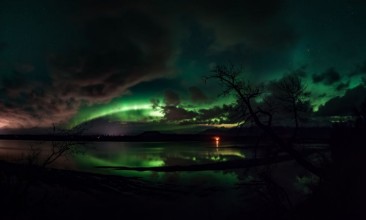 Picture of So many obstacles