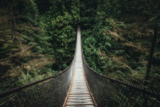 Bild på Lynn Valley Bridge North Vancouver Canada