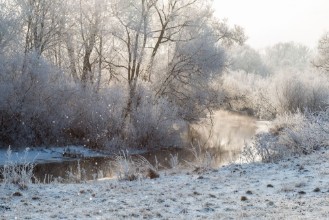 Afbeeldingen van Winter landscape - frosty trees in sunny morning Tranquil winter nature in sunlight
