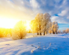 Bild på Winter landscape Cold day
