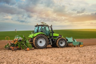 Picture of Plantations de printemps