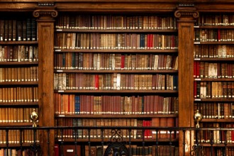 Pilt Raamatukogu raamatud