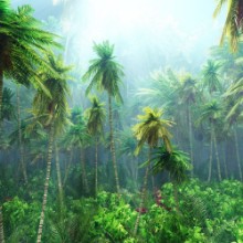 Bild på Jungle beautiful rainforest in the fog palm trees in the haze jungle in the morning in the fog 3D rendering