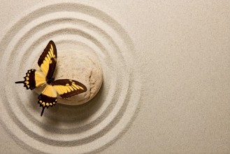 Bild på Zen stone with butterfly