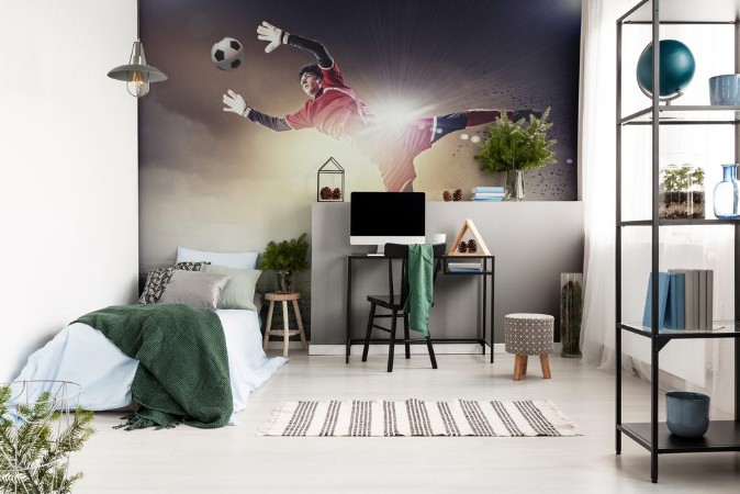 Image de Goalkeeper catches the ball