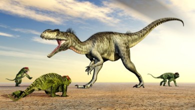 Picture of Megalosaurus and Doliosauriscus