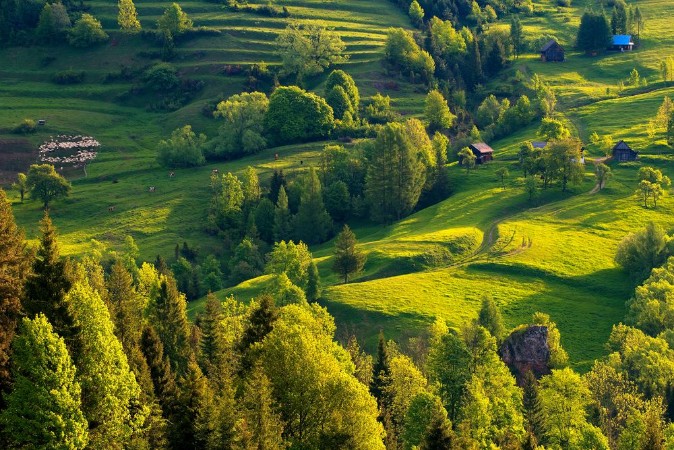 Afbeeldingen van Polskie Pikne Wiosenne Pieniny
