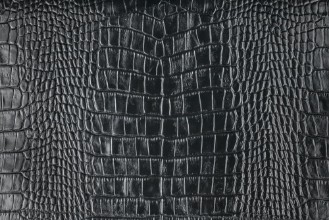 Picture of Natural crocodile skin