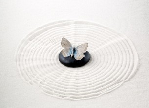 Picture of Zen stone with butterfly