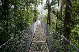 Picture of Suspended Bridge at La Fortuna