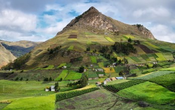 Afbeeldingen van View of colorful terrace fields