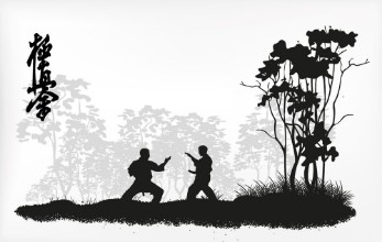 Afbeeldingen van Karate beroepen