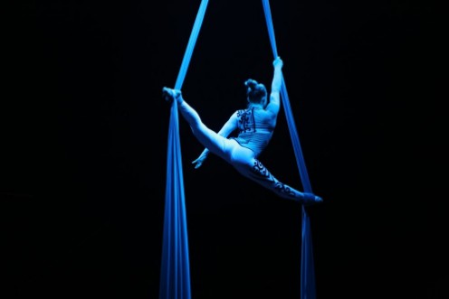 Picture of Estetik Gsteri