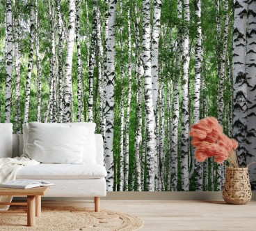 Bild på Trunks of summer birch trees