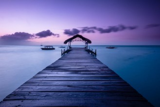 Afbeeldingen van Pigeon Point